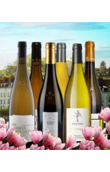 Loira v plném rozkvětu