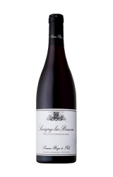 Simon Bize, Savigny les Beaune rouge 2021