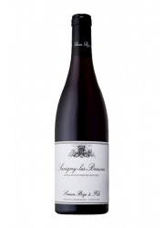 Simon Bize, Savigny les Beaune rouge 2021